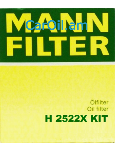 MANN-FILTER H 2522X KIT